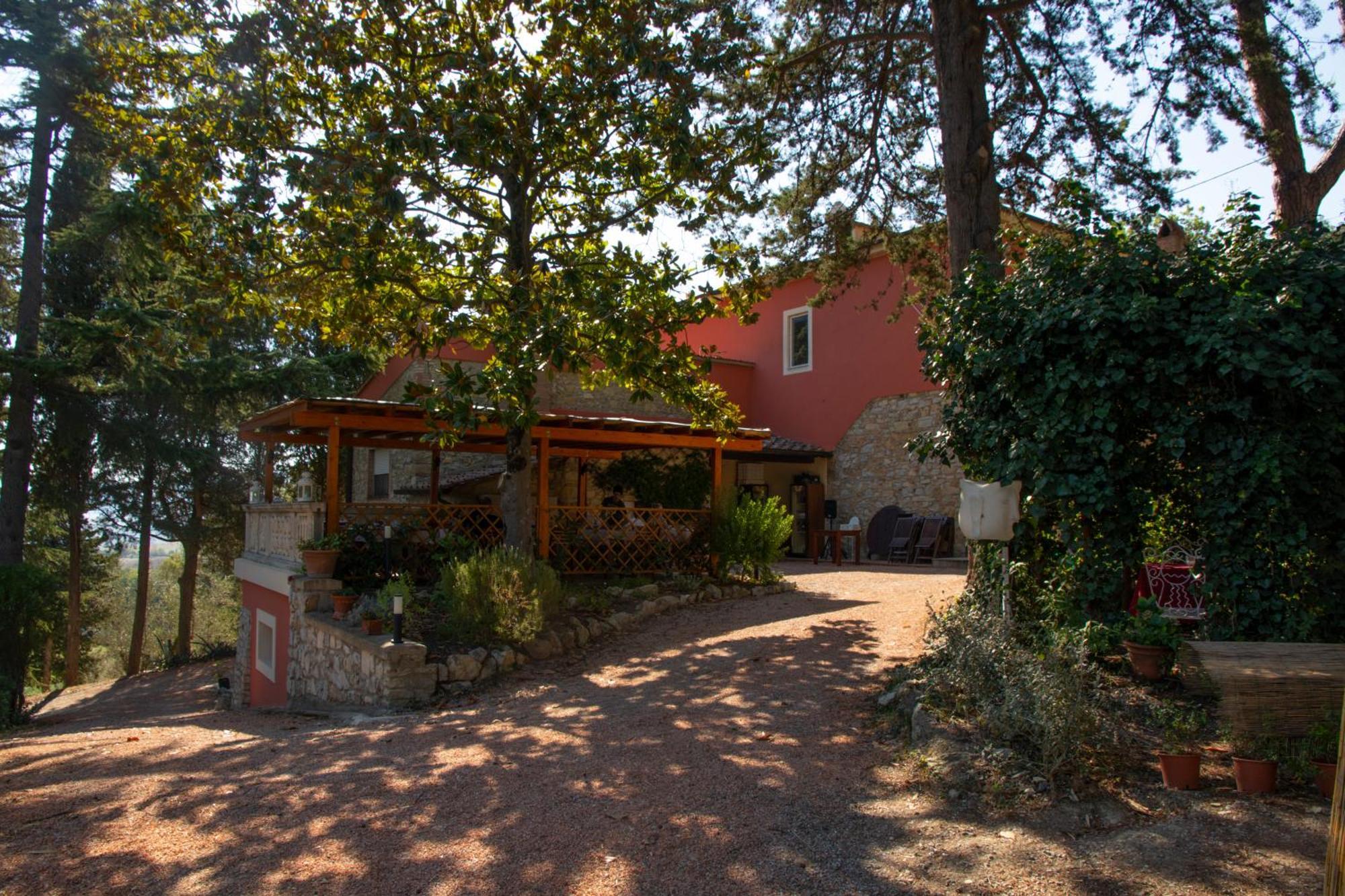 Agriturismo Terre Della Rinascita Castelnuovo della Misericordia Exterior photo